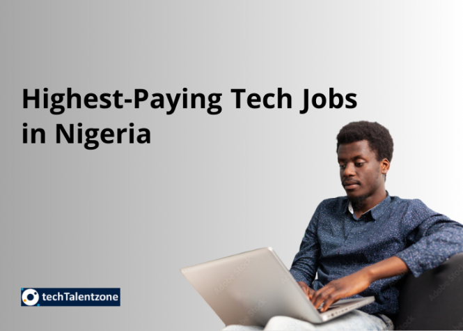 14 Highest-Paying Tech Jobs in Nigeria